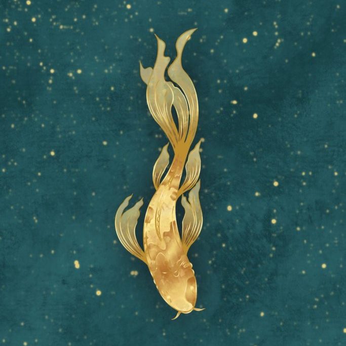 Outsider's cover: an illustration of a golden koi fish on a turquoise background flecked with gold